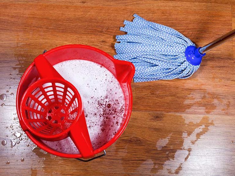 Know What Floor Mop to Use and How to Do it Right House Cleaning Service